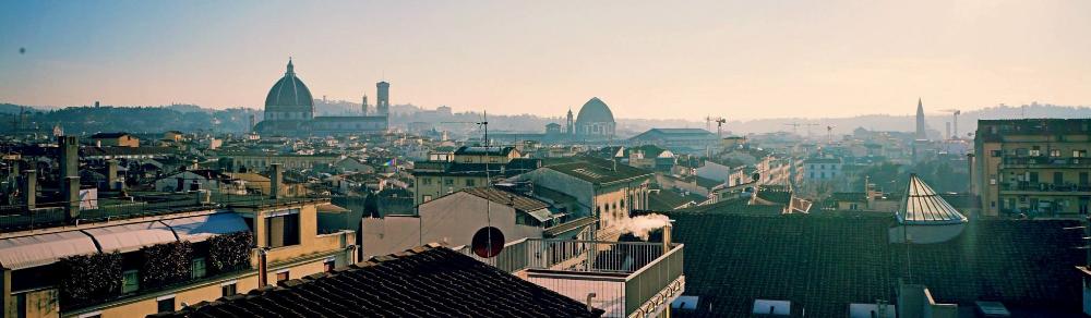 Florence Rooftop View skinny